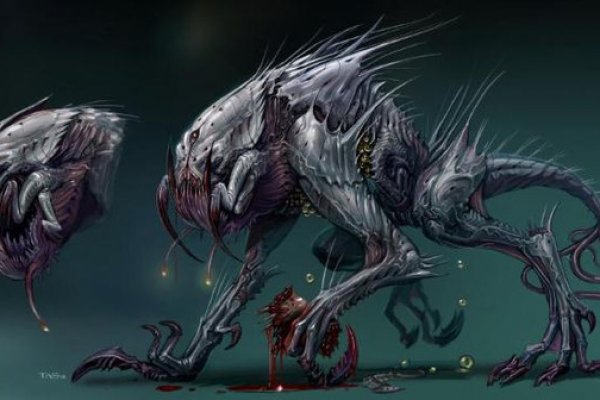 Solaris darkmarket