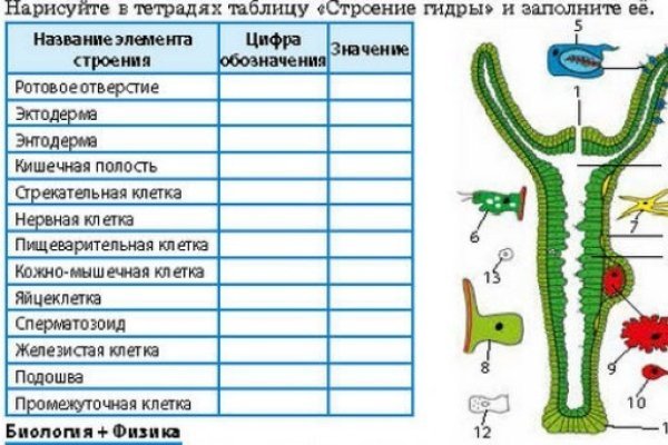 Кракен сайт krk market com