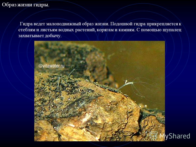 Kra37at